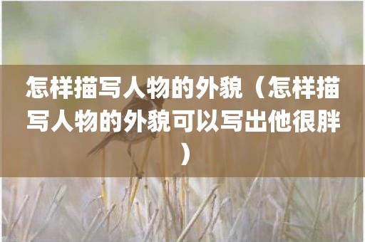 怎样描写人物的外貌（怎样描写人物的外貌可以写出他很胖）