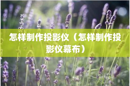 怎样制作投影仪（怎样制作投影仪幕布）