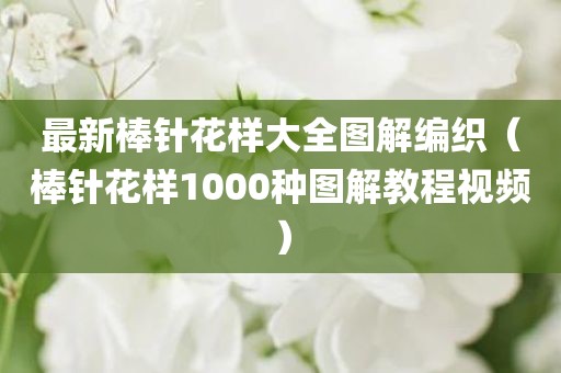 最新棒针花样大全图解编织（棒针花样1000种图解教程视频）
