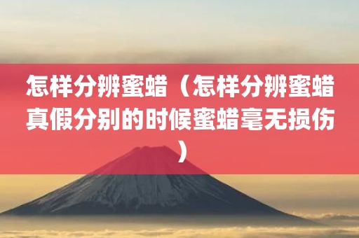 怎样分辨蜜蜡（怎样分辨蜜蜡真假分别的时候蜜蜡毫无损伤）