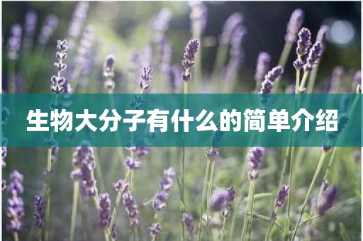 生物大分子有什么的简单介绍