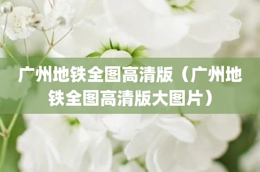 广州地铁全图高清版（广州地铁全图高清版大图片）