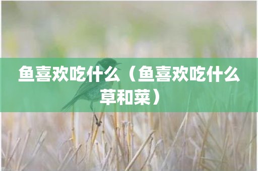 鱼喜欢吃什么（鱼喜欢吃什么草和菜）