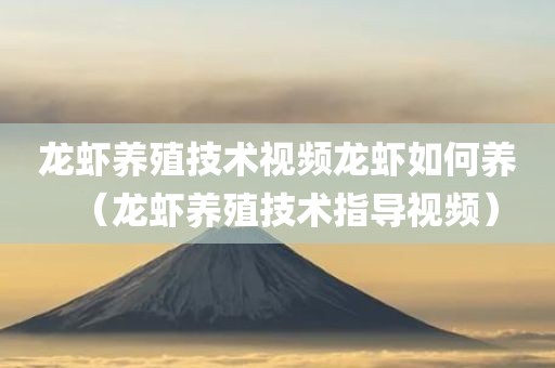 龙虾养殖技术视频龙虾如何养（龙虾养殖技术指导视频）