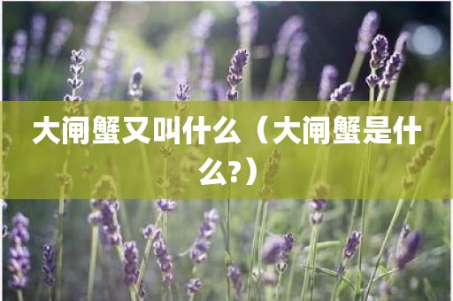 大闸蟹又叫什么（大闸蟹是什么?）
