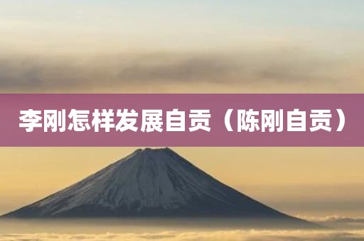 李刚怎样发展自贡（陈刚自贡）