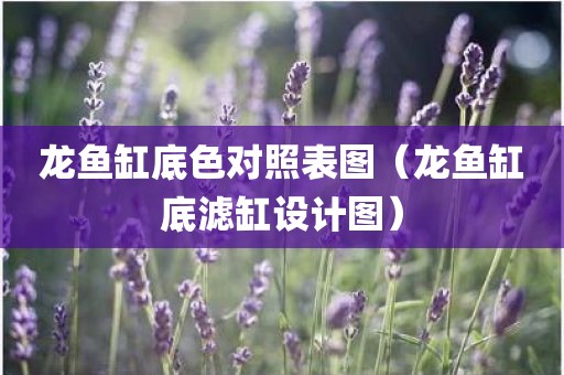 龙鱼缸底色对照表图（龙鱼缸底滤缸设计图）