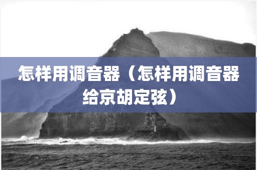怎样用调音器（怎样用调音器给京胡定弦）