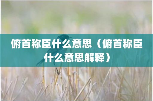 俯首称臣什么意思（俯首称臣什么意思解释）
