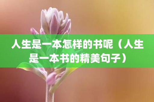 人生是一本怎样的书呢（人生是一本书的精美句子）