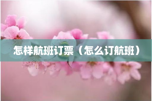 怎样航班订票（怎么订航班）