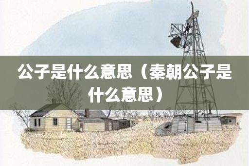 公子是什么意思（秦朝公子是什么意思）