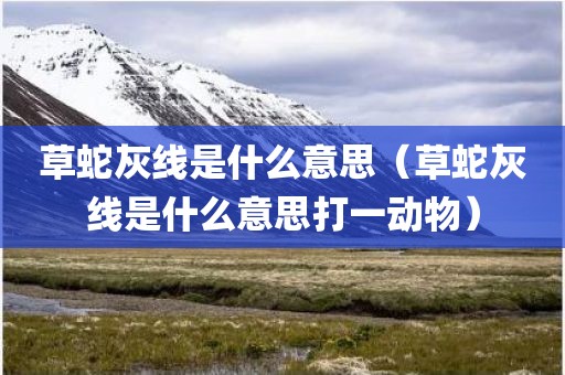 草蛇灰线是什么意思（草蛇灰线是什么意思打一动物）