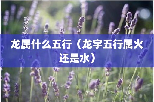 龙属什么五行（龙字五行属火还是水）