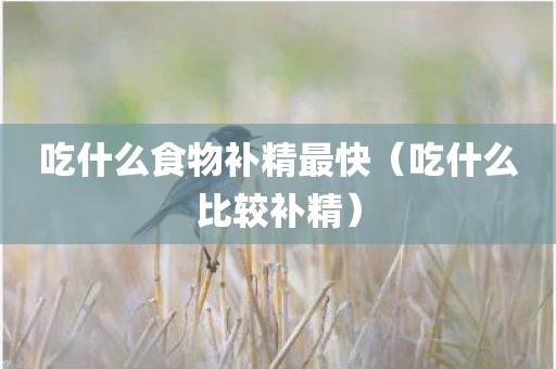 吃什么食物补精最快（吃什么比较补精）