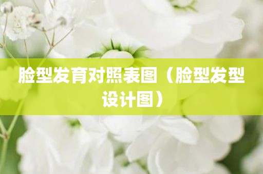 脸型发育对照表图（脸型发型设计图）