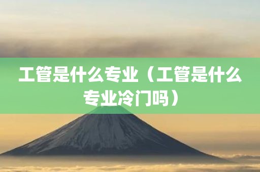 工管是什么专业（工管是什么专业冷门吗）