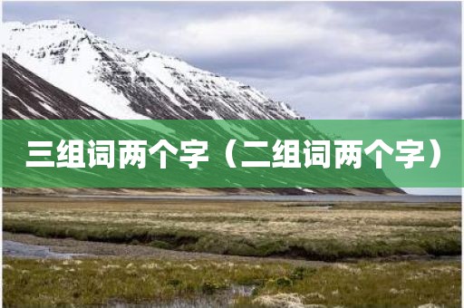 三组词两个字（二组词两个字）