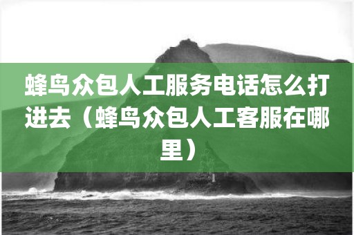 蜂鸟众包人工服务电话怎么打进去（蜂鸟众包人工客服在哪里）