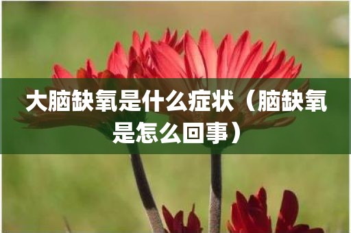 大脑缺氧是什么症状（脑缺氧是怎么回事）