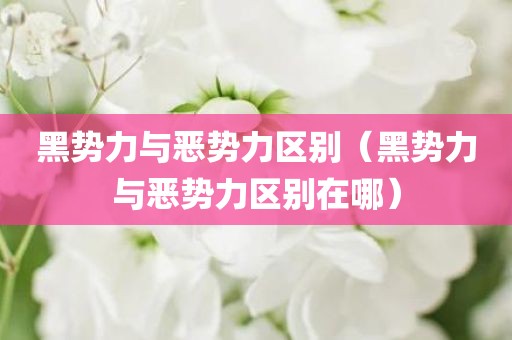 黑势力与恶势力区别（黑势力与恶势力区别在哪）