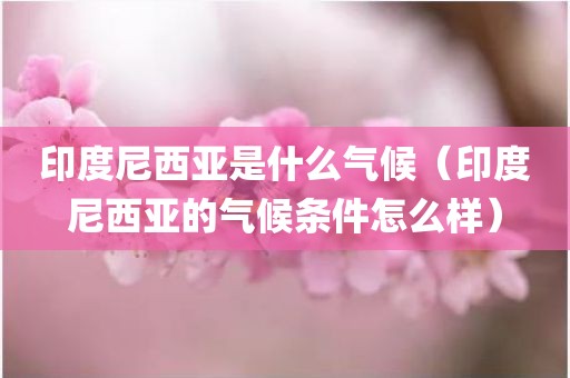印度尼西亚是什么气候（印度尼西亚的气候条件怎么样）