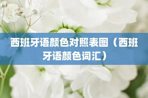 西班牙语颜色对照表图（西班牙语颜色词汇）