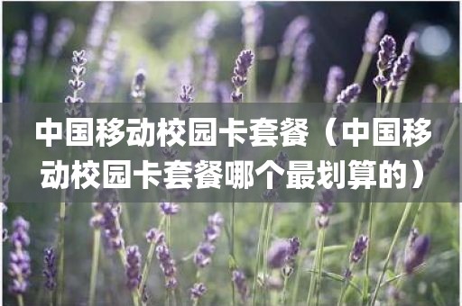 中国移动校园卡套餐（中国移动校园卡套餐哪个最划算的）