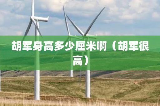 胡军身高多少厘米啊（胡军很高）