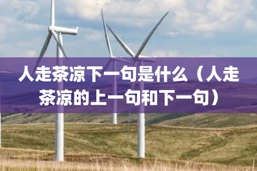 人走茶凉下一句是什么（人走茶凉的上一句和下一句）