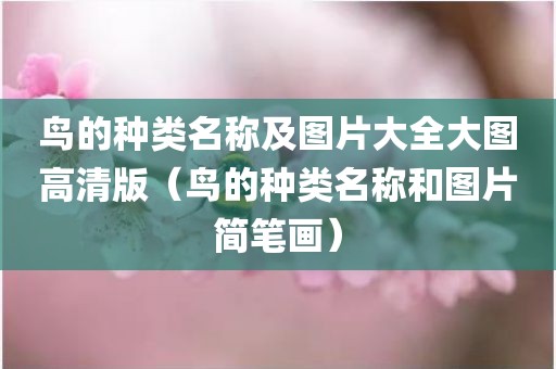 鸟的种类名称及图片大全大图高清版（鸟的种类名称和图片简笔画）