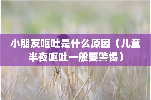 小朋友呕吐是什么原因(儿童半夜呕吐一般要警惕)