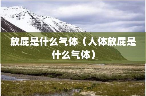 放屁是什么气体（人体放屁是什么气体）