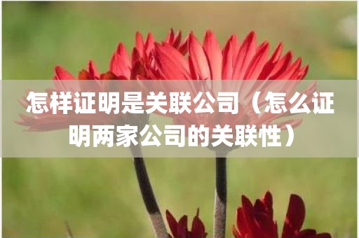 怎样证明是关联公司（怎么证明两家公司的关联性）