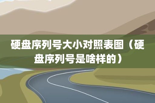硬盘序列号大小对照表图（硬盘序列号是啥样的）