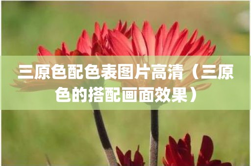 三原色配色表图片高清（三原色的搭配画面效果）