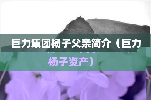 巨力集团杨子父亲简介（巨力杨子资产）