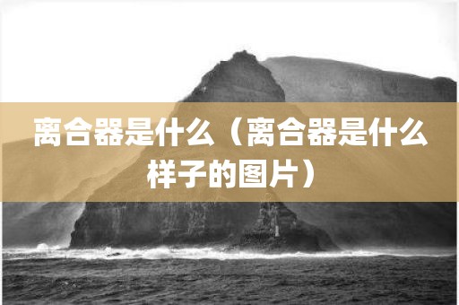 离合器是什么（离合器是什么样子的图片）