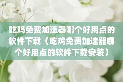 吃鸡免费加速器哪个好用点的软件下载（吃鸡免费加速器哪个好用点的软件下载安装）