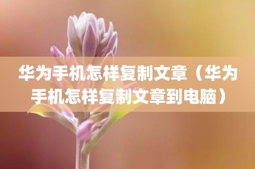 华为手机怎样复制文章（华为手机怎样复制文章到电脑）