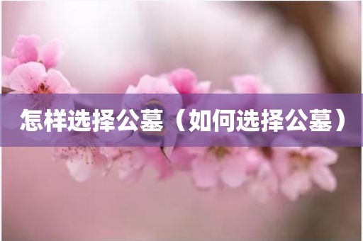 怎样选择公墓（如何选择公墓）