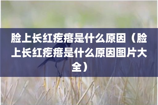 脸上长红疙瘩是什么原因（脸上长红疙瘩是什么原因图片大全）