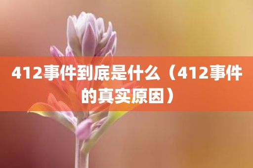 412事件到底是什么（412事件的真实原因）