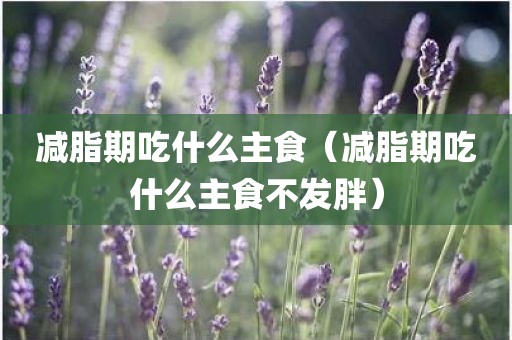 减脂期吃什么主食（减脂期吃什么主食不发胖）