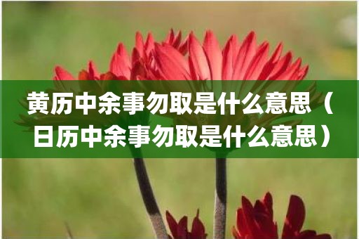 黄历中余事勿取是什么意思（日历中余事勿取是什么意思）