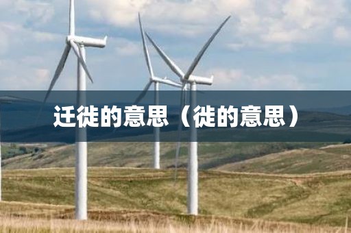 迁徙的意思（徙的意思）