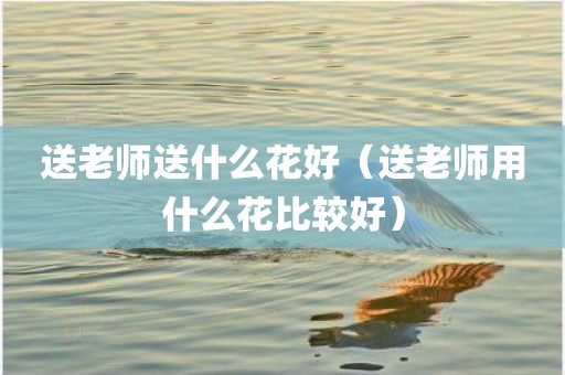 送老师送什么花好(送老师用什么花比较好)