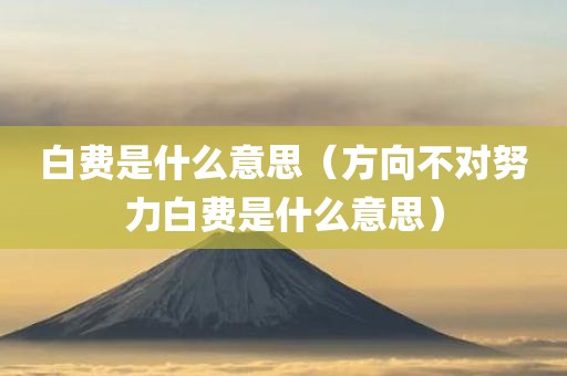 白费是什么意思（方向不对努力白费是什么意思）
