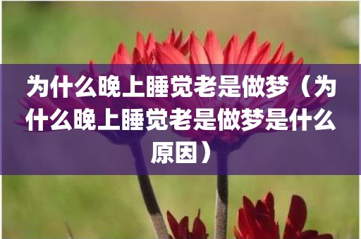 为什么晚上睡觉老是做梦（为什么晚上睡觉老是做梦是什么原因）