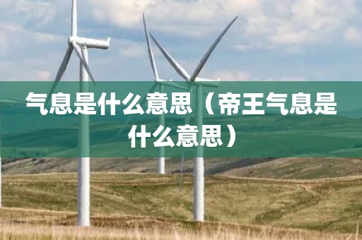 气息是什么意思（帝王气息是什么意思）